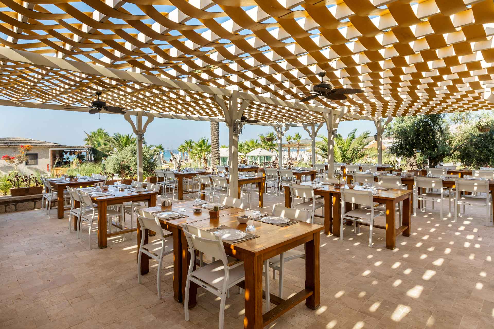 Restoranlar & Bar